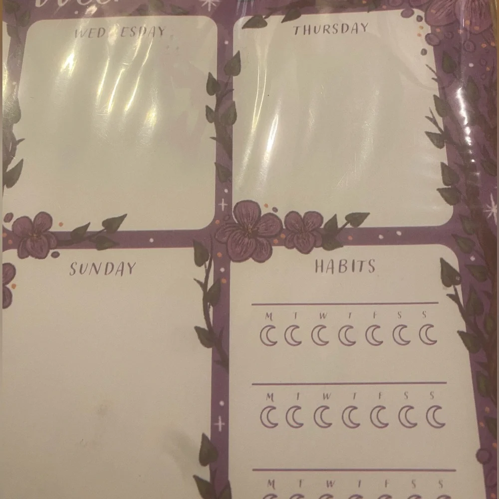 Illumicrate Violet Divinations weekly planner